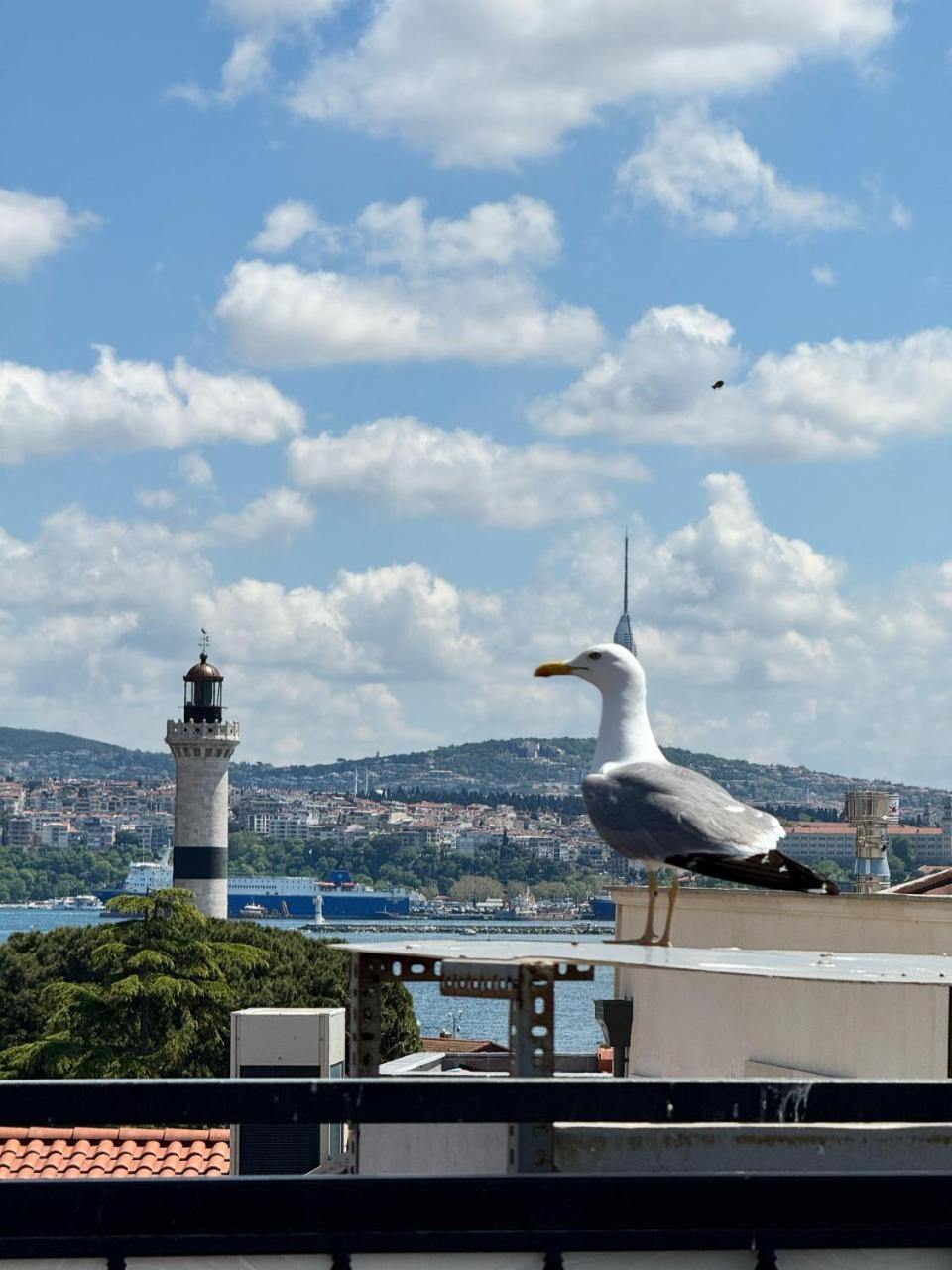 IPEKYOLU — ISTANBUL — fotografie hotel nr. 4