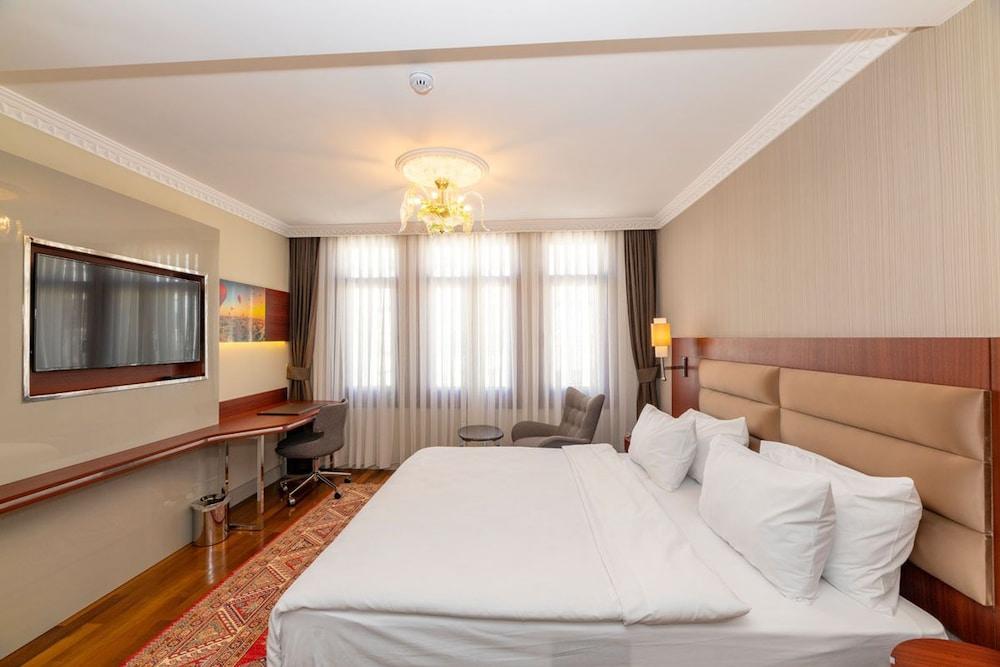 BLUE GILROY HOTEL — ISTANBUL — фотография отеля №5