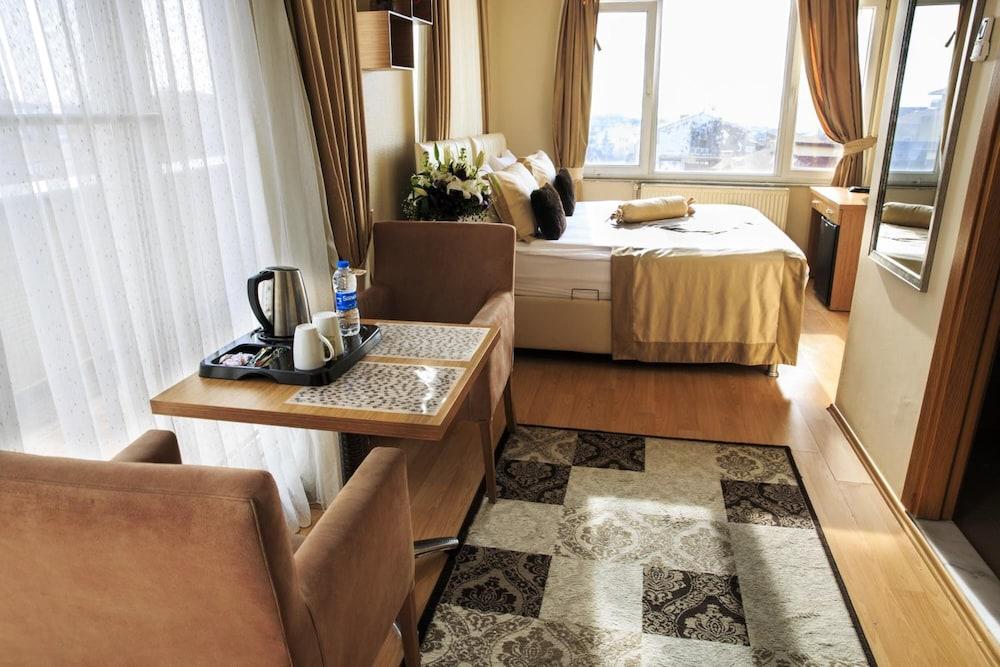 ANKA PREMIUM HOTEL — ISTANBUL — фотография отеля №23
