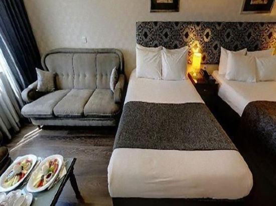 ADELA HOTEL — ISTANBUL — фотография отеля №3