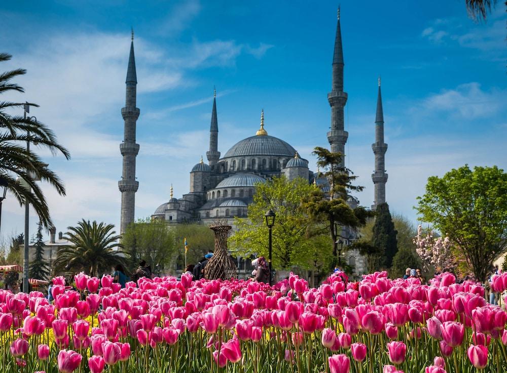 ROOT KARAKOY — ISTANBUL — фотография отеля №35