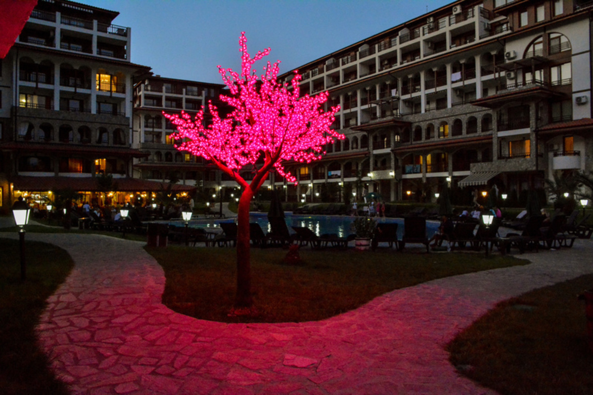APARTMENTS OLIMP — SVETI VLAS — фотография отеля №3