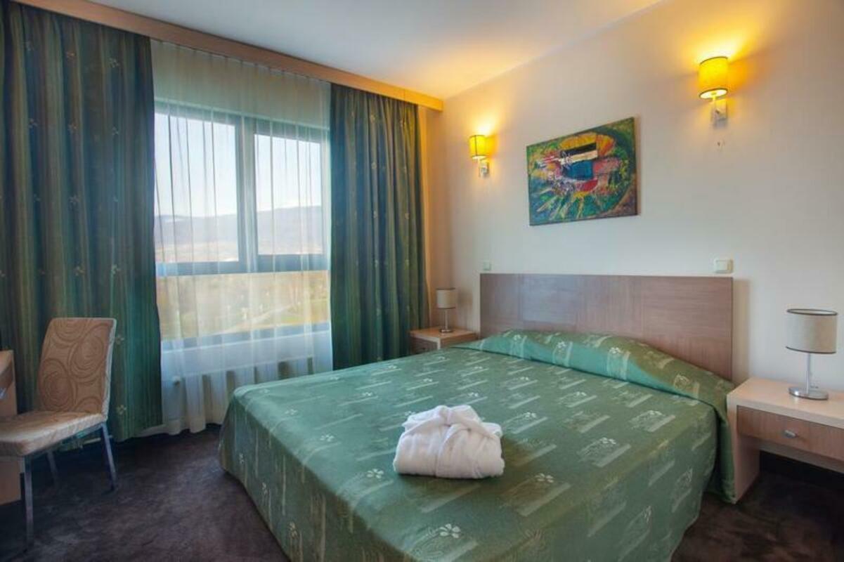 VITOSHA PARK HOTEL — SOFIA — fotografie hotel nr. 5