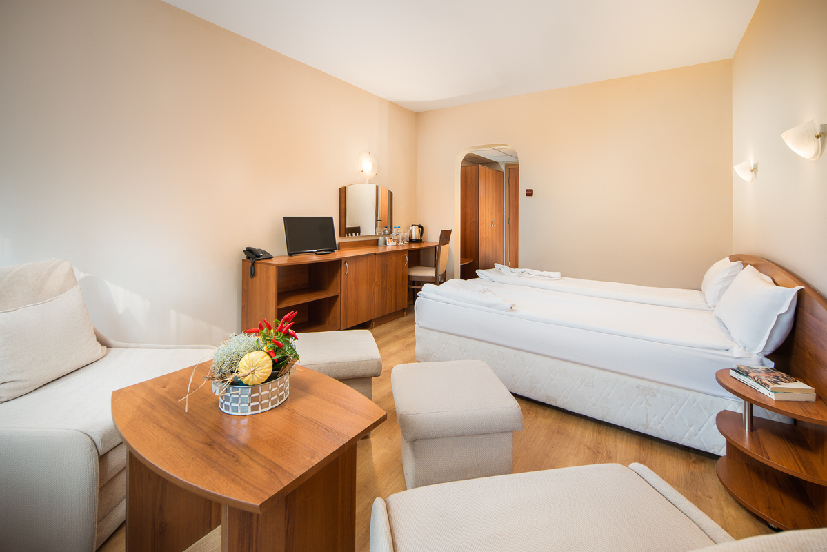 MURA HOTEL BOROVETS — BOROVETS — fotografie hotel nr. 11