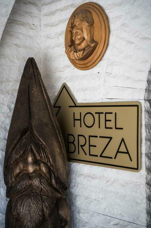BREZA — BOROVETS — фотография отеля №23