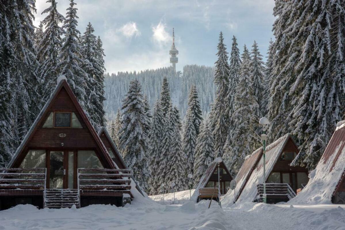 VILLI MALINA — PAMPOROVO — фотография отеля №3