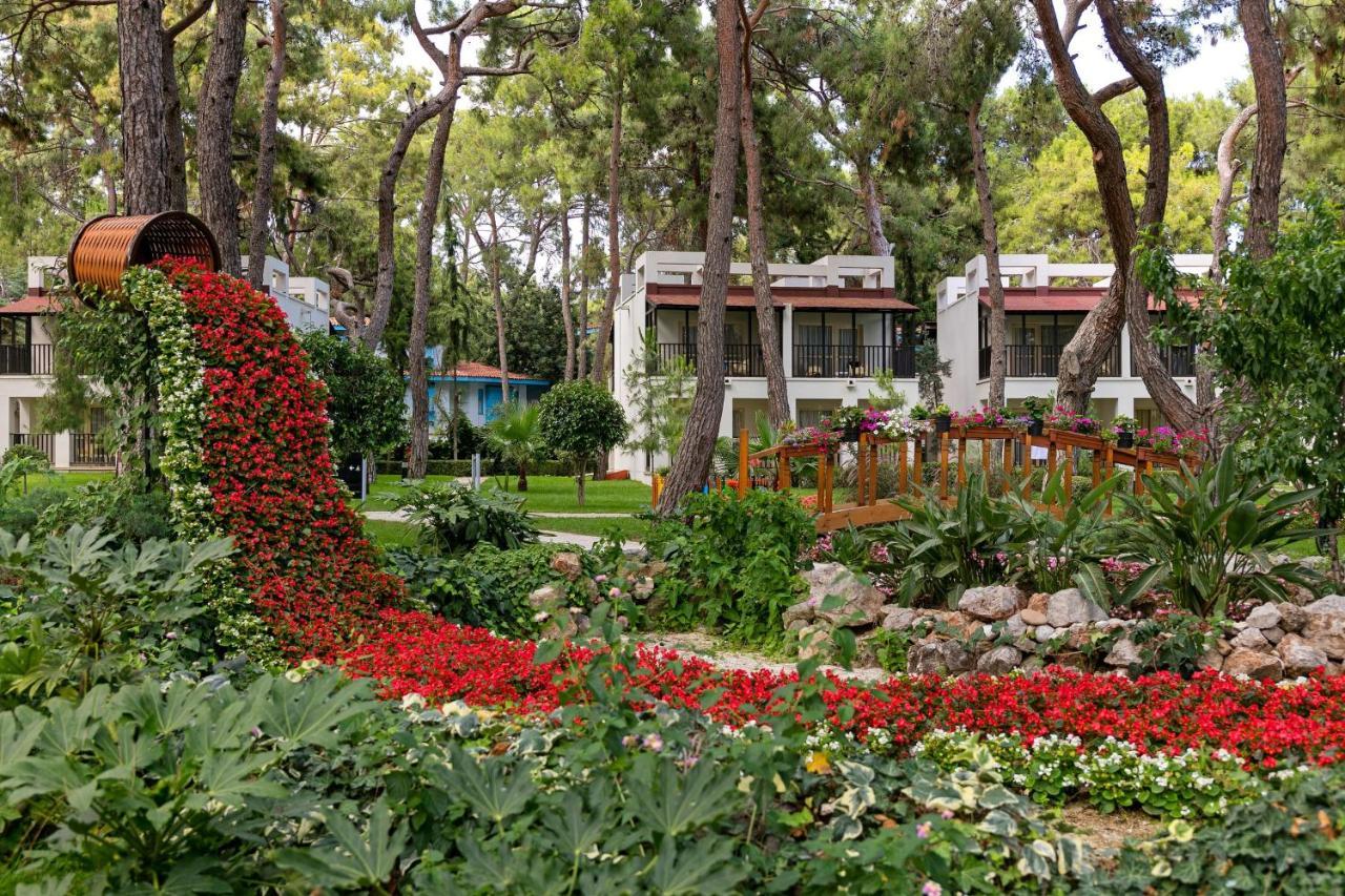 SEVEN SEAS HOTEL LIFE — KEMER — фотография отеля №29