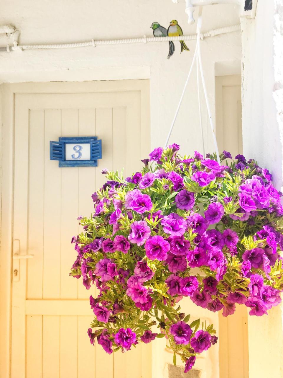 SADE BUTIK OTEL — BODRUM — фотография отеля №21
