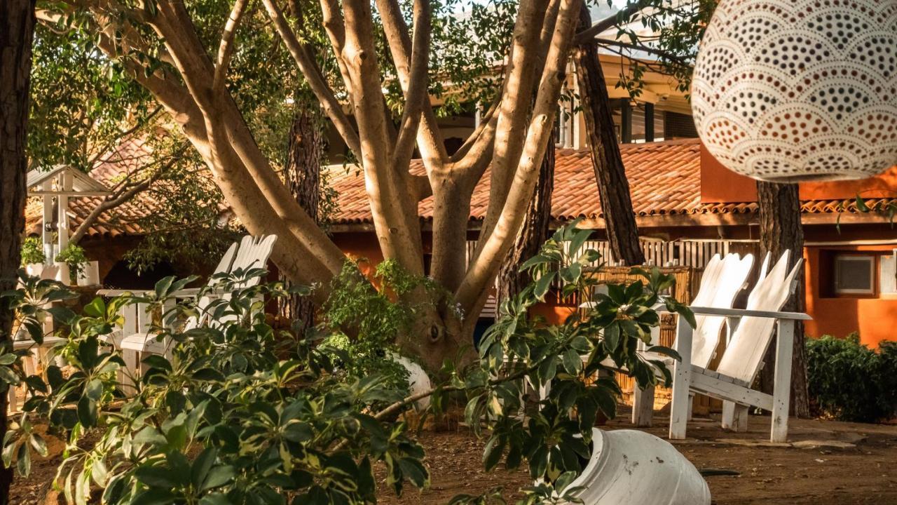 MARMARIS BAY RESORT (ADULTS ONLY) — MARMARIS — fotografie hotel nr. 20