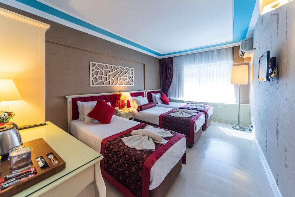VIVA DELUXE HOTEL — ISTANBUL — фотография отеля №12