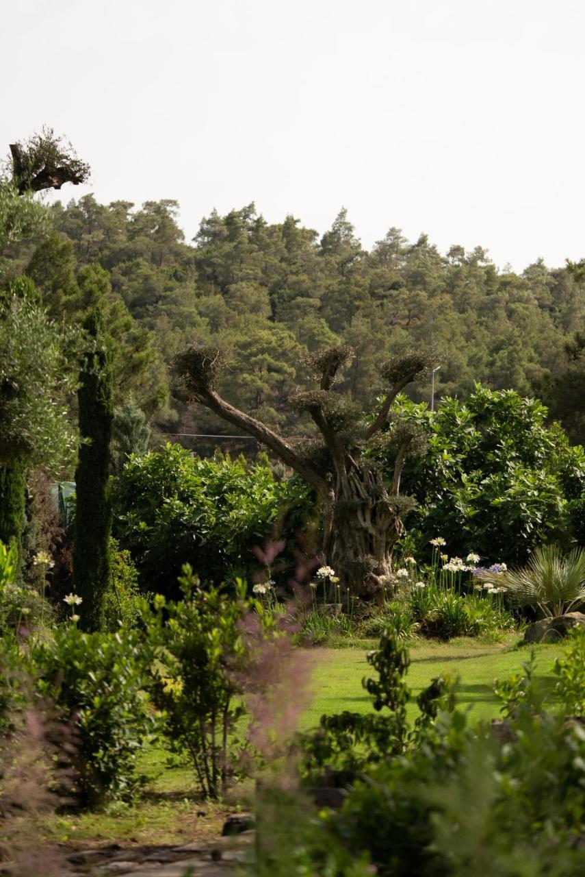 GOLDEN KEY BORDUBET — MARMARIS — fotografie hotel nr. 28