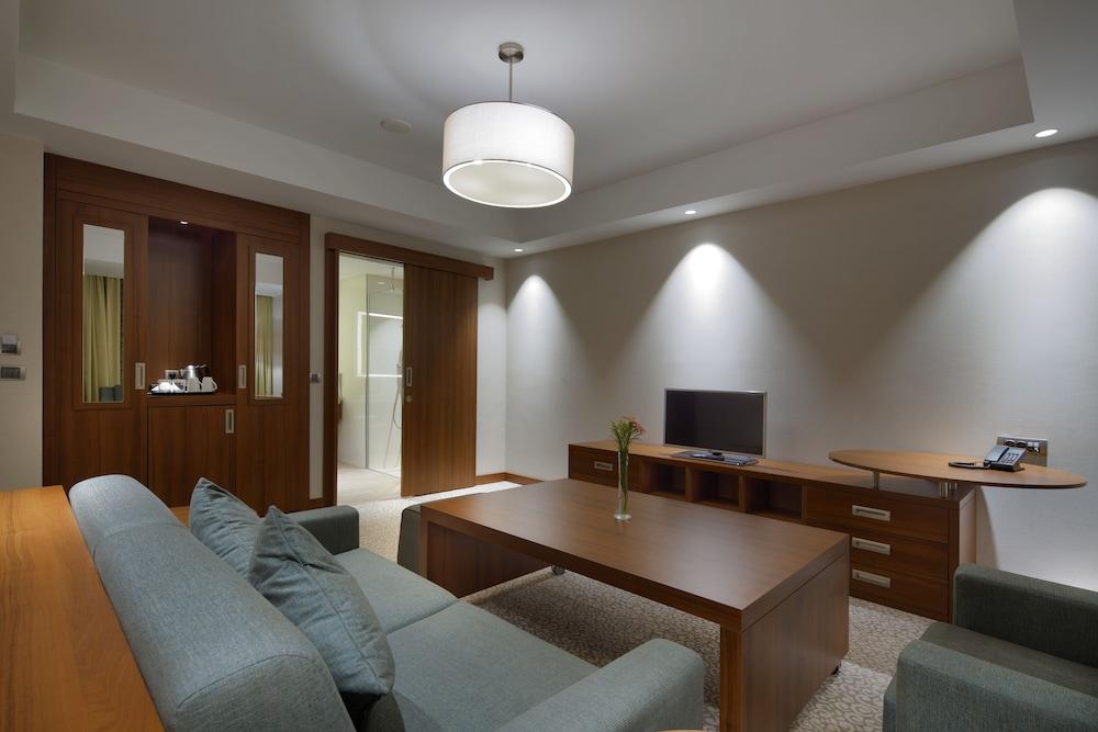 HILTON GARDEN INN ISTANBUL BEYLIKDUZU — ISTANBUL — фотография отеля №12