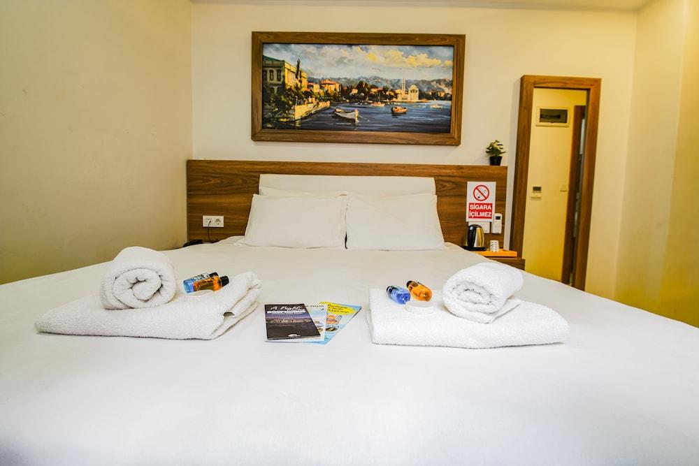 MITANI SUITES — ISTANBUL — фотография отеля №4