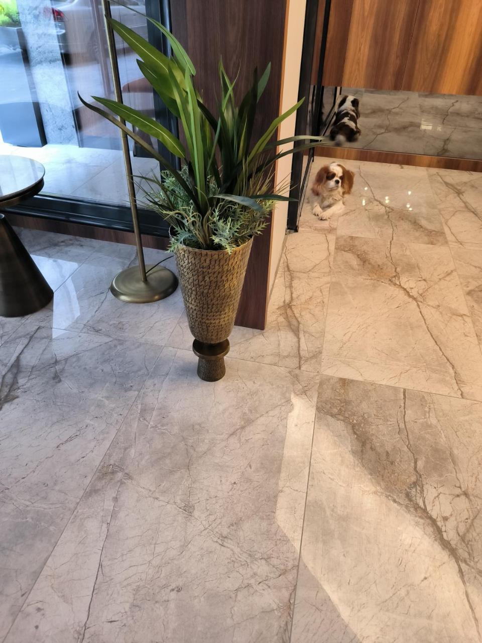 ROI HOTEL IZMIR — IZMIR — фотография отеля №15