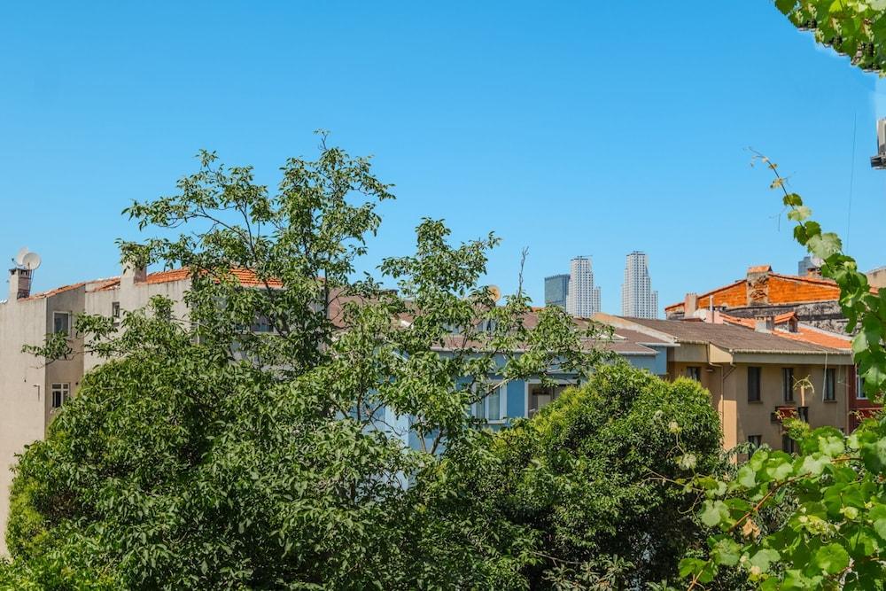 HOUSE W GARDEN 10 MIN TO CITY S IN BEYOGLU — ISTANBUL — фотография отеля №25