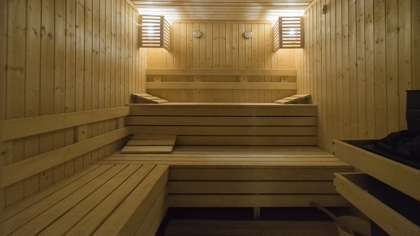 ORPHEUS — PAMPOROVO — фотография отеля №36