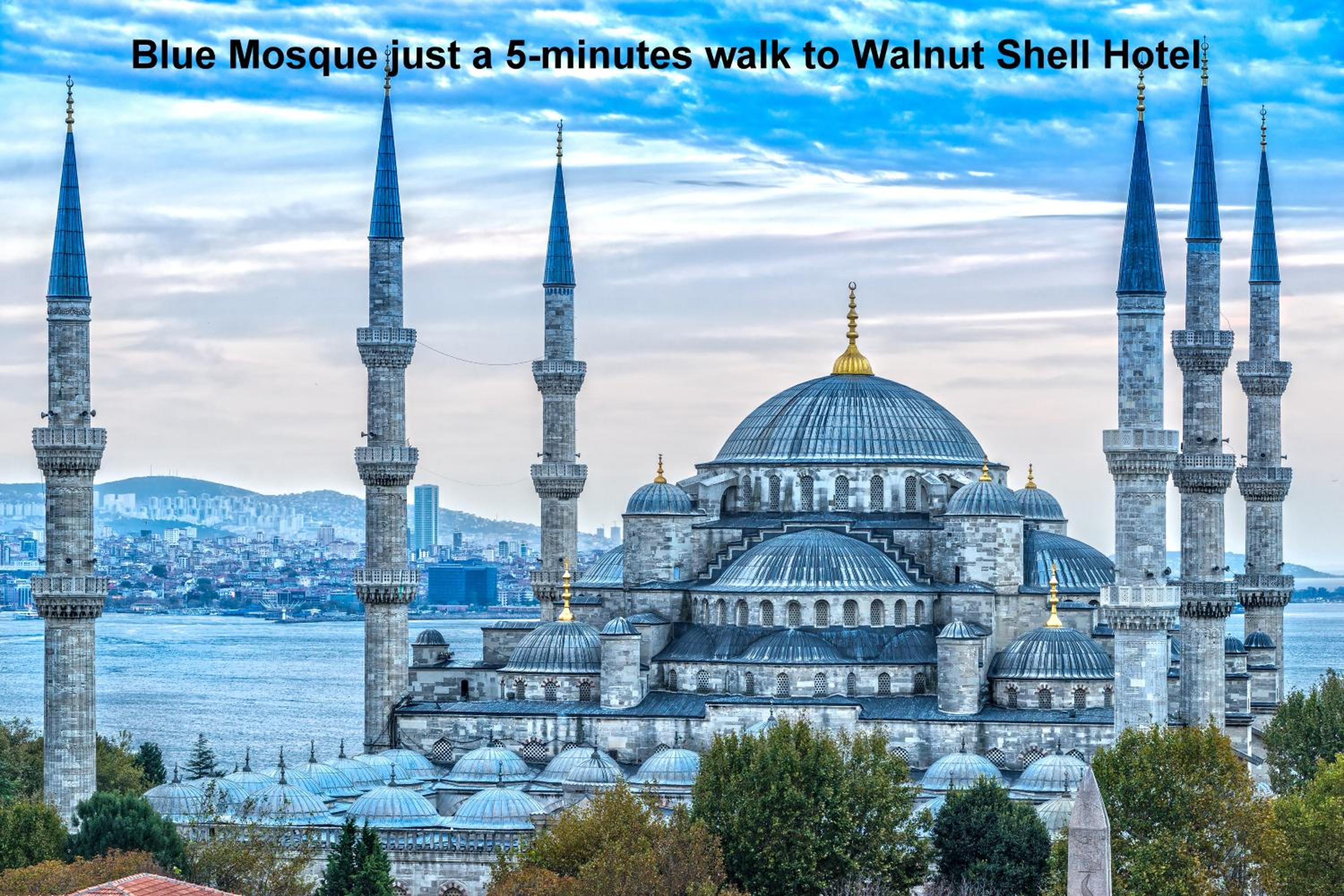 WALNUT SHELL HOTEL — ISTANBUL — фотография отеля №34