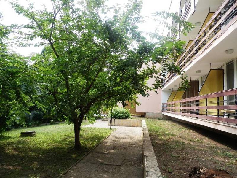 OLIMPIA SUPERSNAB — BALCHIK