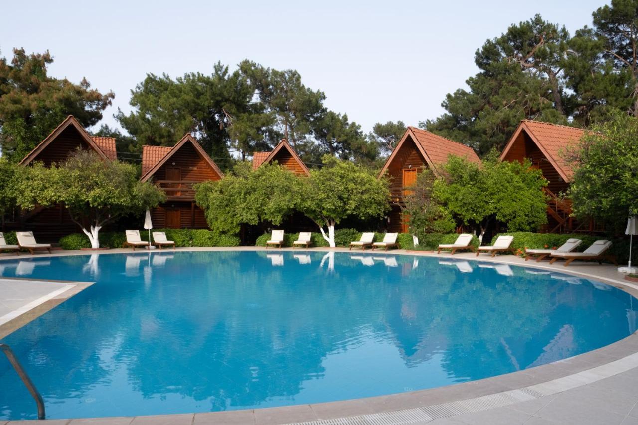 WOODLINE HOTEL — GOYNUK — фотография отеля №8