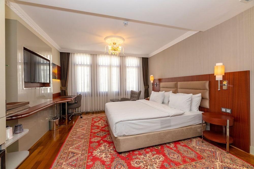 BLUE GILROY HOTEL — ISTANBUL — фотография отеля №2
