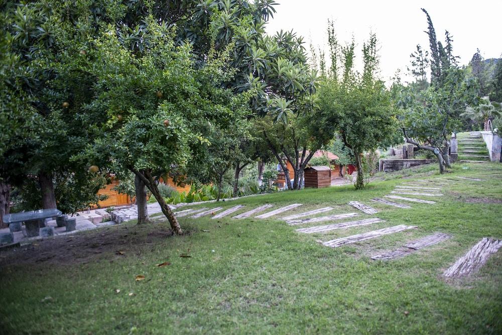 TRINITYS ULUPINAR — KEMER — фотография отеля №33