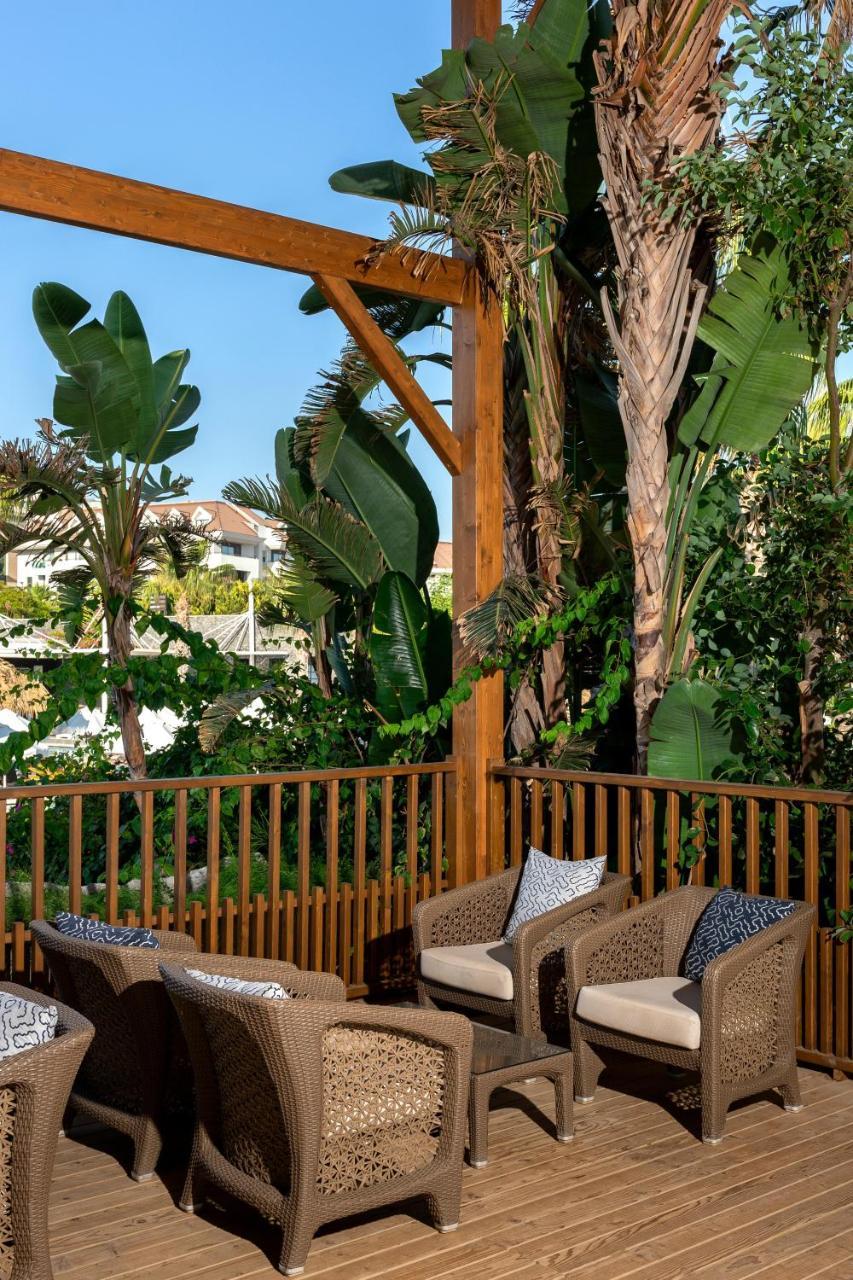 TUI BLUE BELEK (ADULTS ONLY) — BOGAZKENT — фотография отеля №35