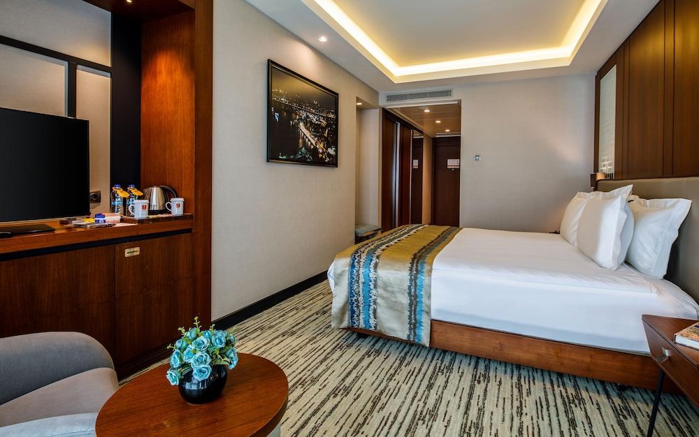 CLARION HOTEL GOLDEN HORN — ISTANBUL — фотография отеля №13
