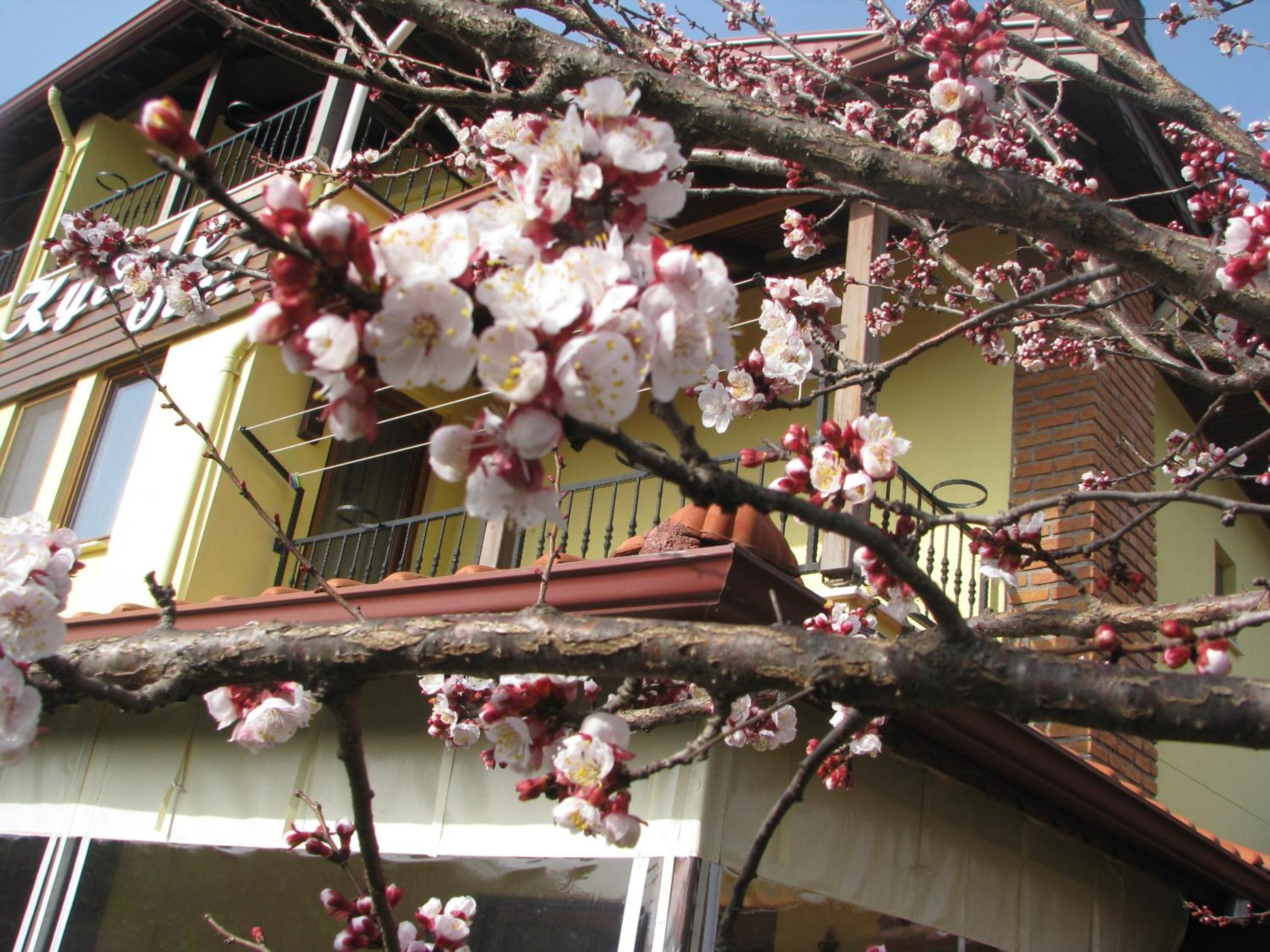 KYBELE HOTEL — GOCEK — фотография отеля №31