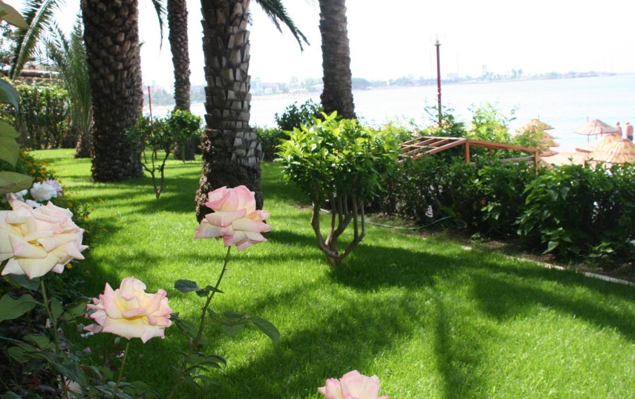 RUBI HOTEL — ALANYA — фотография отеля №15
