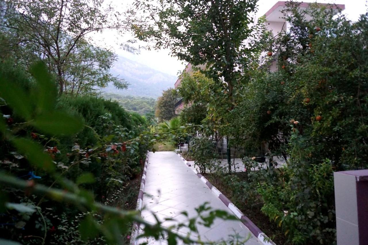 AYBEL INN HOTEL — KEMER — фотография отеля №21