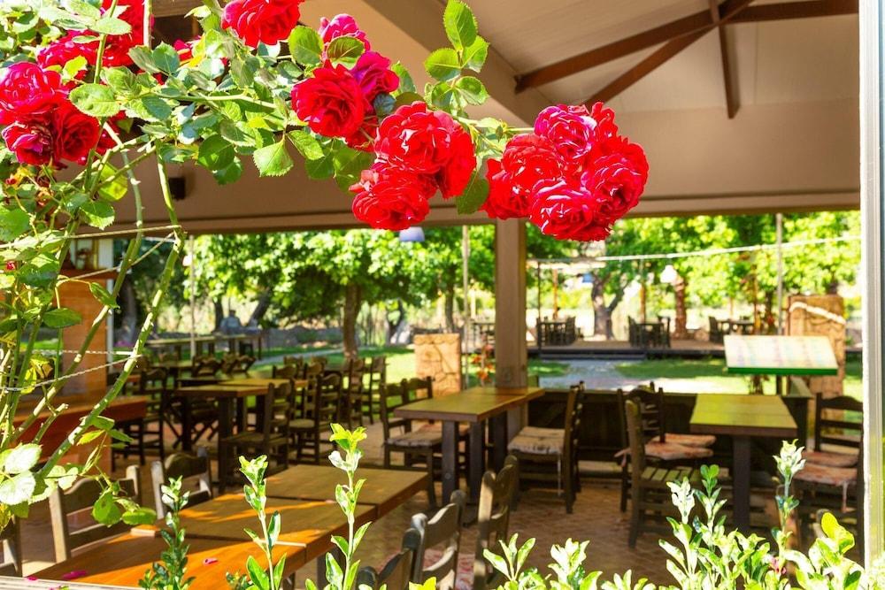 VILLA ASLI PARADISE: PRIVATE POOL, A/C, WIFI, CAR NOT REQUIRED, ECO-FRIENDLY - 2226 — DALYAN — фотография отеля №22