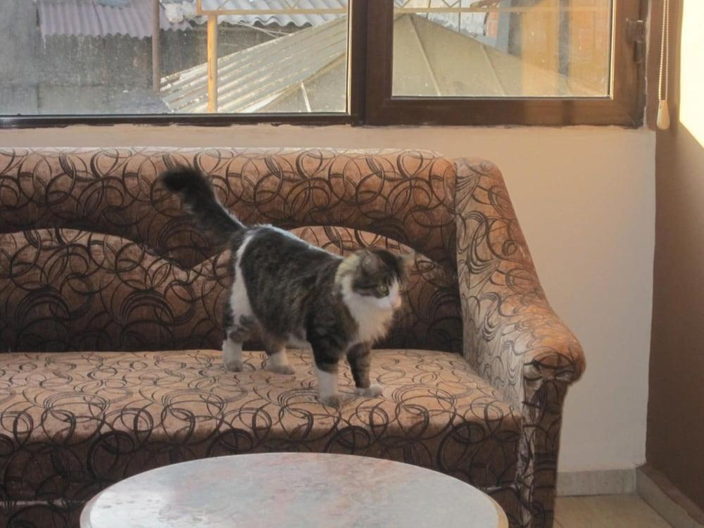 ALICAN — IZMIR — fotografie hotel nr. 20