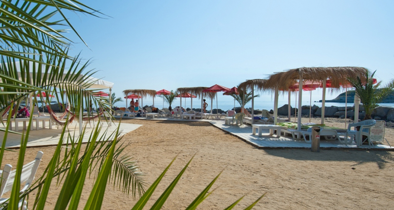 HERMES ALEXANDRIA CLUB HOTEL & APARTMENTS — TSAREVO — фотография отеля №19