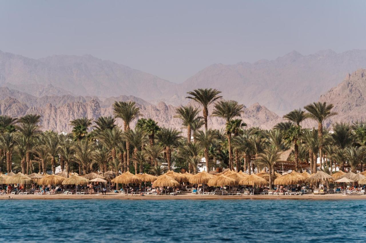 JAZ SHARM DREAMS — SHARM EL SHEIKH — фотография отеля №3
