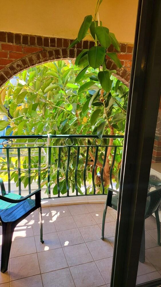 MAXWELL HOLIDAY CLUB — MARMARIS — фотография отеля №8