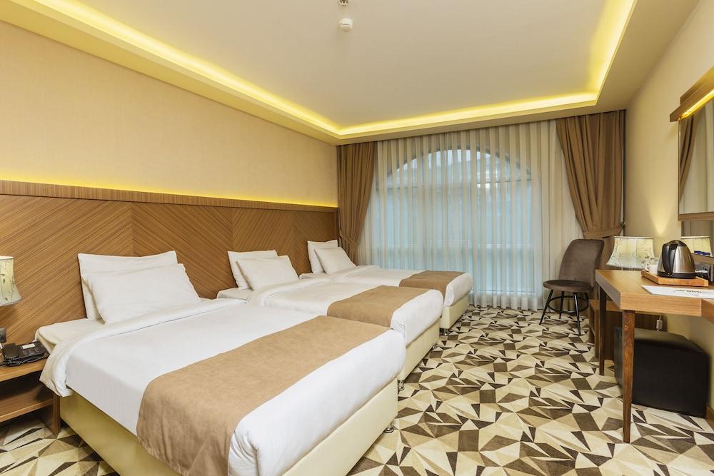ATRO HOTEL — ISTANBUL — фотография отеля №9