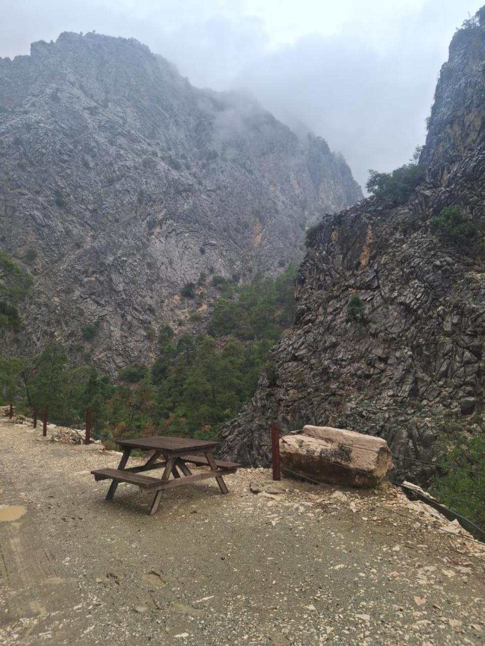 ORANGE GARDEN — KEMER — фотография отеля №33