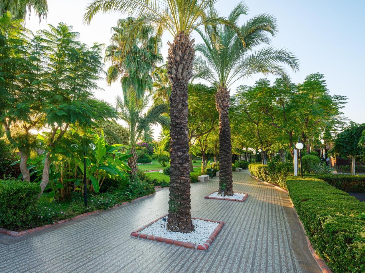 AYDINBEY FAMOUS RESORT — BOGAZKENT — fotografie hotel nr. 15
