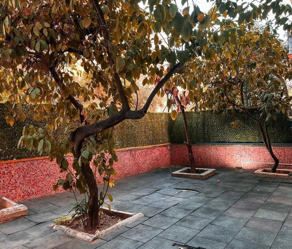LIFE ARTEMIS BORNOVA — IZMIR — фотография отеля №14