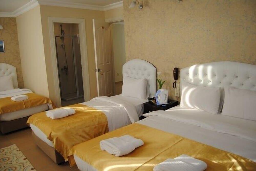 LOTUS HOTEL ISTANBUL — ISTANBUL — fotografie hotel nr. 18
