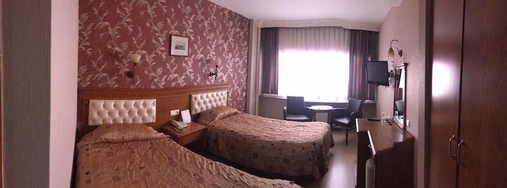 ANTIQUE EBRU HOTEL — ISTANBUL — фотография отеля №3