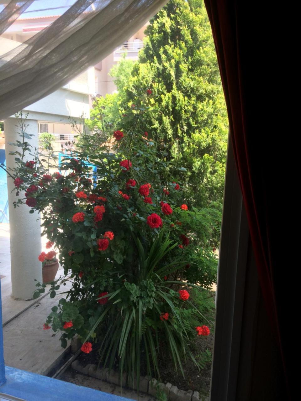 KOZ MARIGOLD — CESME — fotografie hotel nr. 5