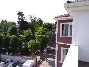 PARK BEYLERBEYI BOUTIQUE HOTEL — ISTANBUL — фотография отеля №4
