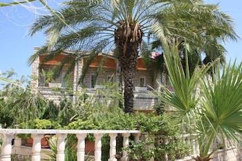 HAVANA HOTEL — KEMER — фотография отеля №8