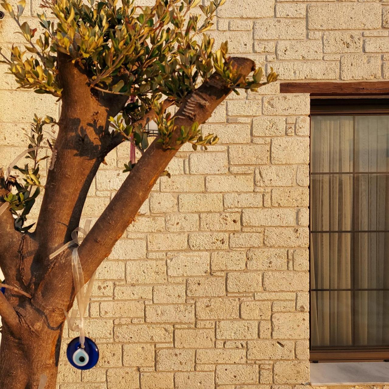 VAHIDE BUTIK OTEL — CESME — фотография отеля №12