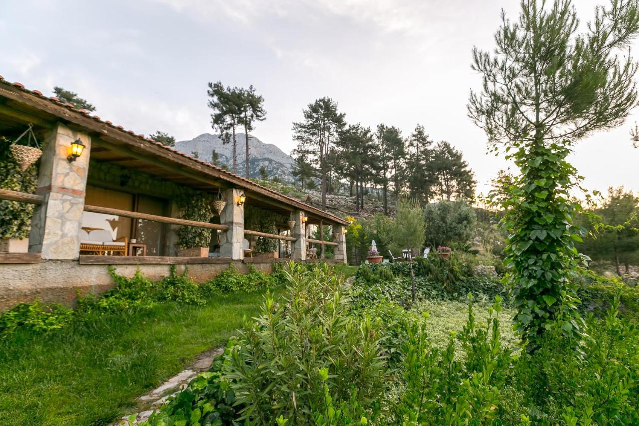 OLYMPOS MOUNTAIN LODGE — KEMER — фотография отеля №21