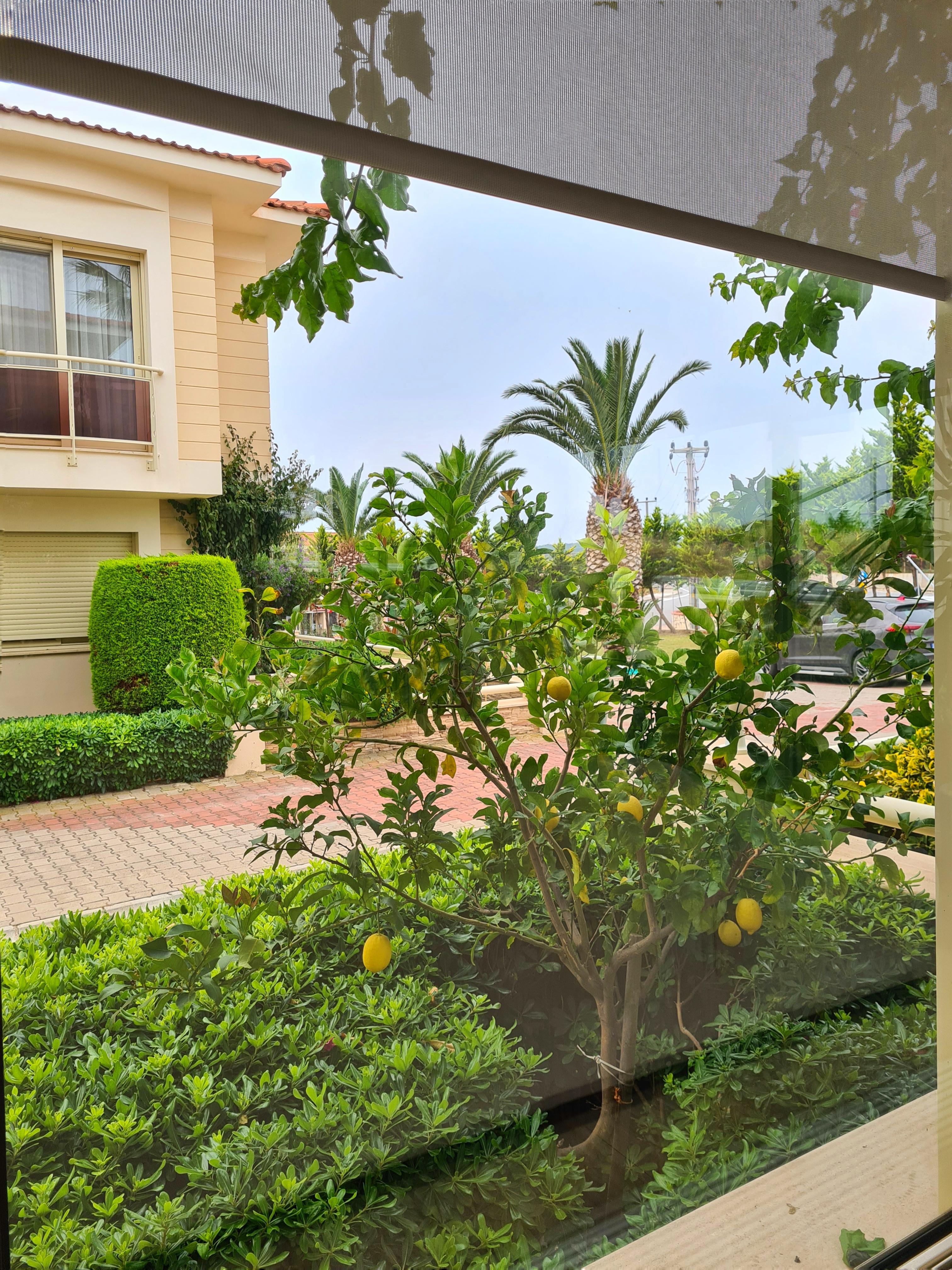 KAMER SUITES & HOTEL — CESME — фотография отеля №5