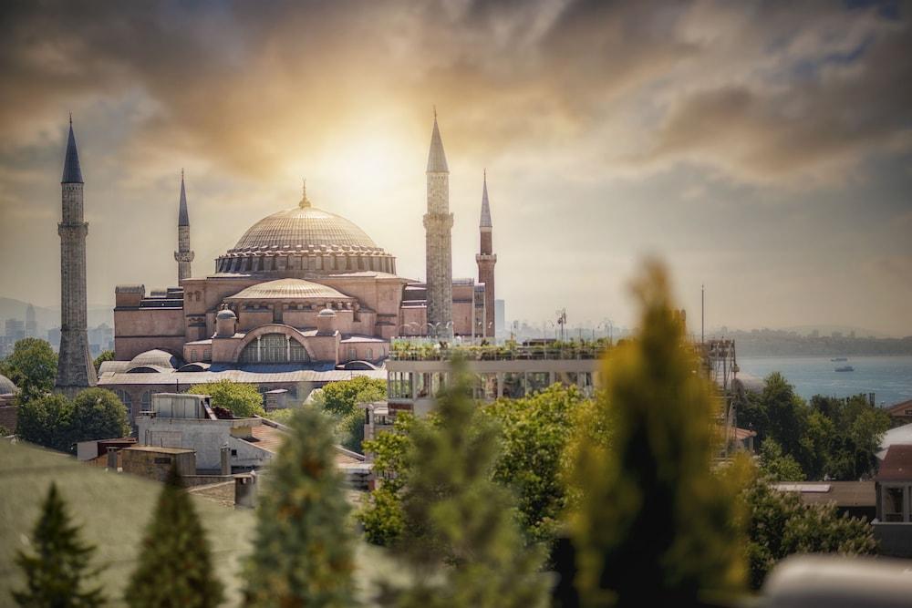 MEDDUSA (ADULTS ONLY) — ISTANBUL — фотография отеля №18