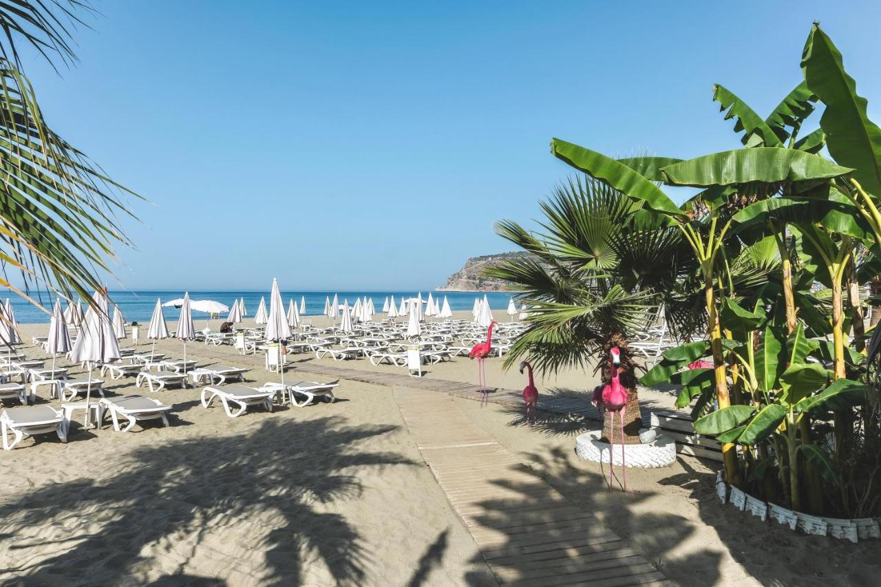 BLUE WAVE SUITE HOTEL — ALANYA — fotografie hotel nr. 8