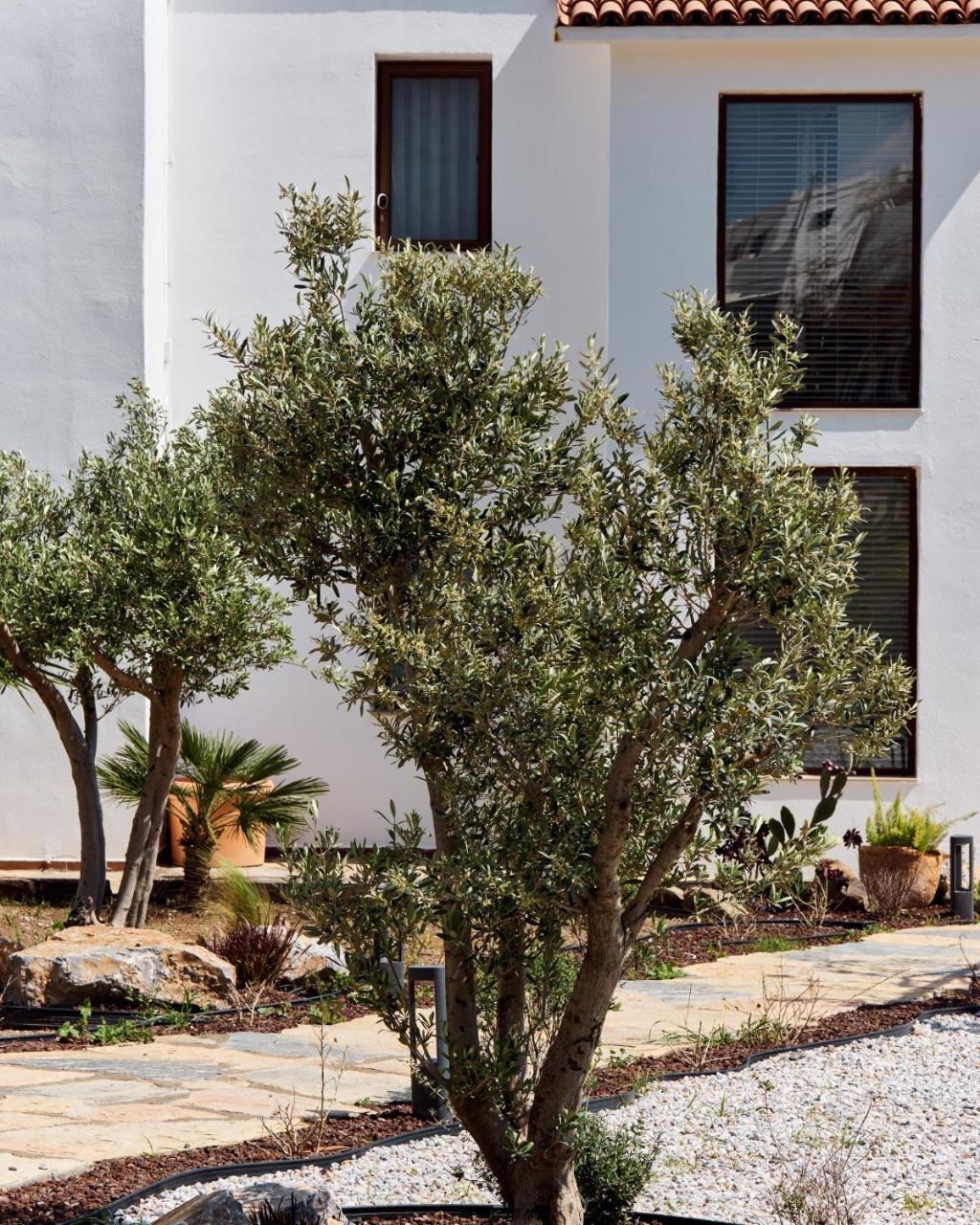 CASA CARIA SALMAKIS — BODRUM — fotografie hotel nr. 5